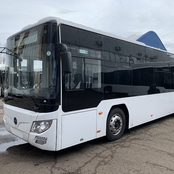 Городской низкопольный автобус большого класса LOTOS 105 D-01 DIESEL